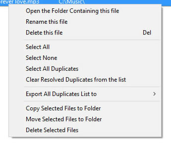 manage duplicate files menu