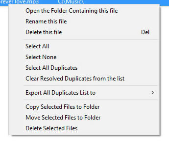 manage duplicate files action