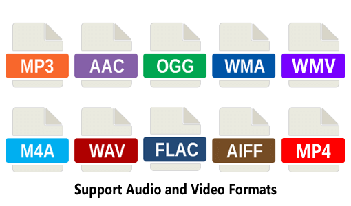 Support Popular Audio Formats